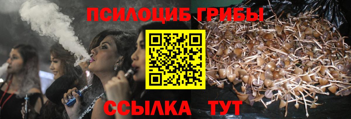 Краснодар  Псилоцибиновые грибы прущие грибы  Галлюциногенные грибы ЛСД  Вход с VPN 